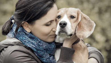 Photo of Researchers reveal losing a dog can be as hard as losing a loved one
