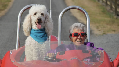 Photo of 90-year-old woman declined chemo, started to travel with her dog instead